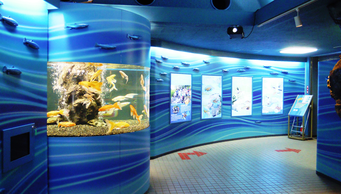 出典：ark.tachikawaonline.jp/aquarium/34_saitama/main.jpg