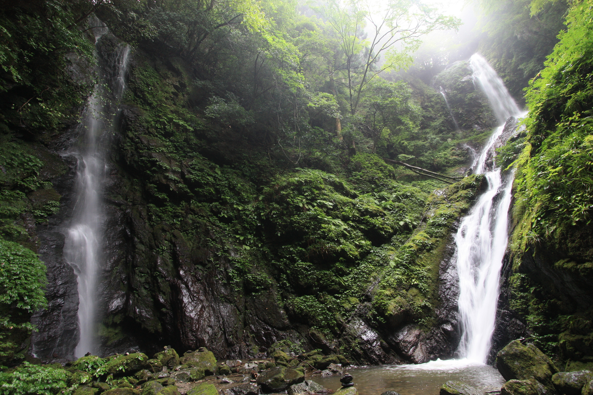 ご利益あるかも！？神山町の名瀑とお寺を旅する　「道の駅　温泉の里　神山」